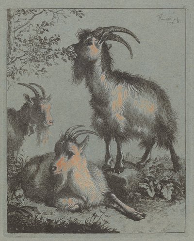 Three Goats by Francesco Londonio