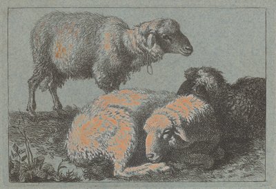 Two Reclining Sheep and One Standing Sheep, 1757-1758 by Francesco Londonio