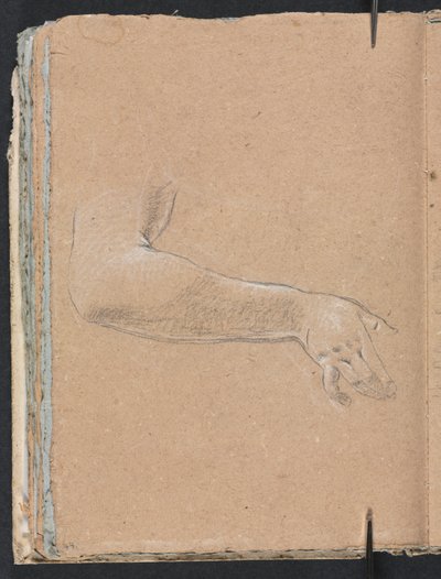 Verona Sketchbook: Female right arm and hand (page 44) by Francesco Lorenzi