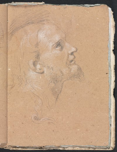 Verona Sketchbook: Male head in profile page 91 by Francesco Lorenzi