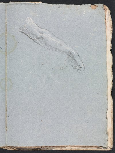 Verona Sketchbook: Right arm and hand (page 95) by Francesco Lorenzi