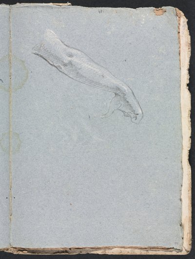Verona Sketchbook: Right Arm and Hand Page 95 by Francesco Lorenzi