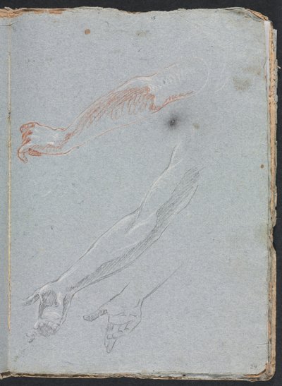 Verona Sketchbook: Study of hands and arms (page 29) by Francesco Lorenzi