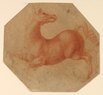 Study of a Rearing Horse after Leonardo da Vinci by Francesco Melzi
