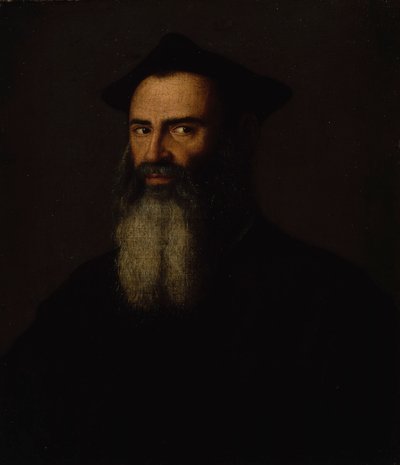 Portrait of a Prelate (Middle of the 16th Century) by Francesco Salviati