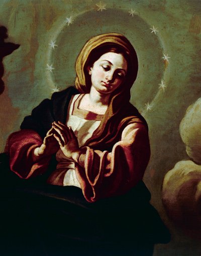 Immaculate Conception, Cathedral of San Pardo, Larino, Molise, Italy by Francesco Solimena