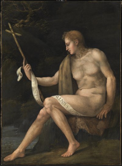 Saint John the Baptist in the Wilderness by Francesco Ubertini Bacchiacca