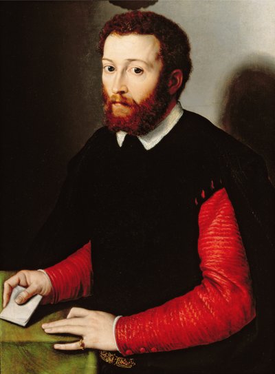 Portrait of a Man Holding a Letter by Francesco de Rossi Salviati Cecchino