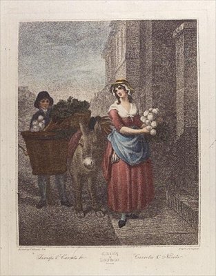 Turnips and Carrots Ho, Plate 13 from the 