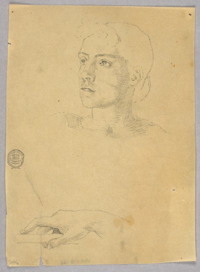 Sketch of a Woman