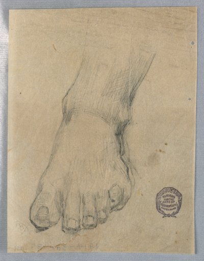 Study for a Foot by Francis Augustus Lathrop