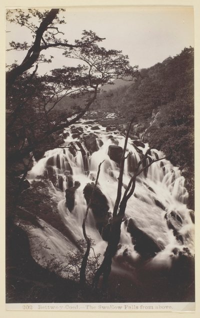 Bettws-y-Coed, The Swallow Falls from Above by Francis Bedford