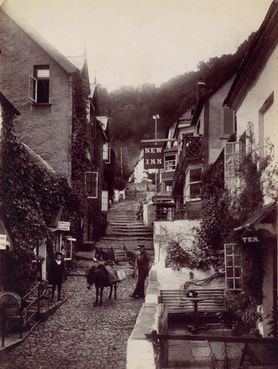 Clovelly, The New Inn and Street, 1870s by Francis Bedford