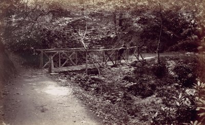 Colwyn Bay. Rustic Bridge in the Wood by Francis Bedford