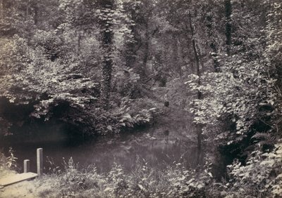 Colwyn Bay. The Pool in the Wood by Francis Bedford