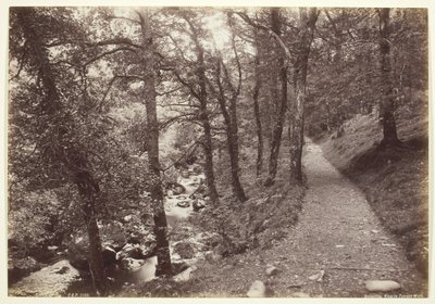 Dolgelley, View in Torrent Walk, 1860-94 by Francis Bedford