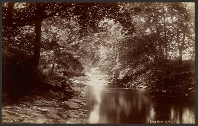 Elwy River, Cefn by Francis Bedford