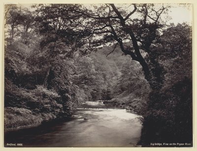 Ivy Bridge, View on the Prysor River, 186094 by Francis Bedford