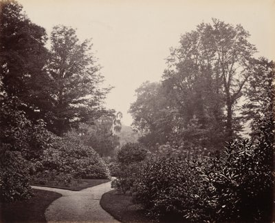 Pathway in Alexandra Park by Francis Bedford