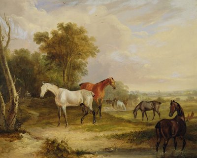 Horses Grazing: A Grey Stallion grazing with Mares in a Meadow by Francis Calcraft Turner