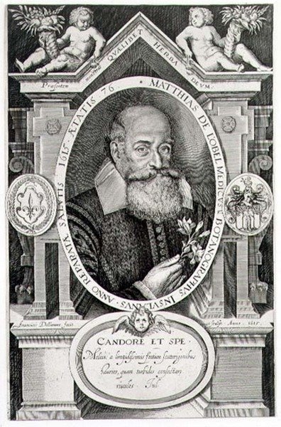 Portrait of Matthias de Lobel, Engraved by the Artist by Francis Delaram