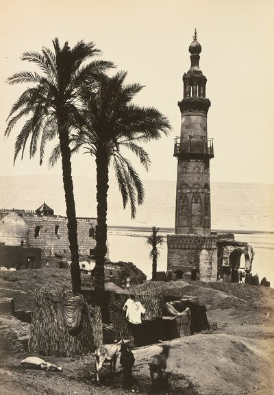 "Egypt and Palestine": view of Girgeh, Upper Egypt by Francis Frith