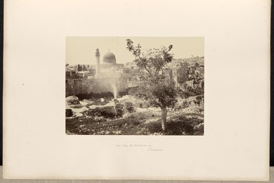 The Pool of Bethesda, Jerusalem by Francis Frith