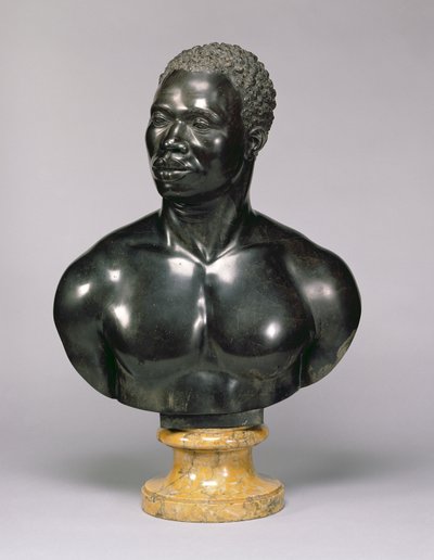 Bust of a man (black limestone and yellow marble) by Francis Harwood