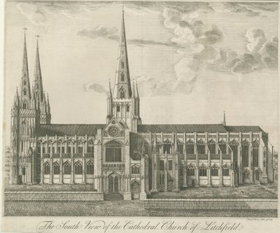 Lichfield Cathedral - South View by Francis Perry