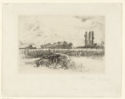 A Water Meadow by Francis Seymour Haden (Sir) (signed by artist)