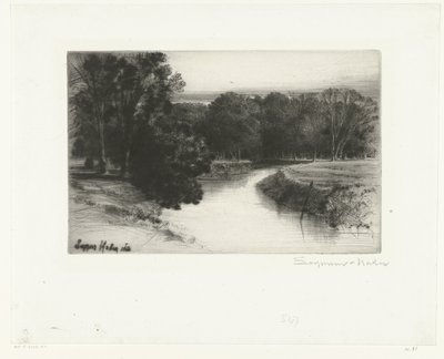 Sunset in Ireland by Francis Seymour Haden (Sir) (signed by artist)