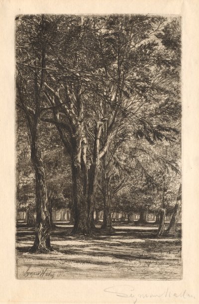 Kensington Gardens, No. 2 Large Plate by Francis Seymour Haden