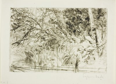 Mouth of a Brook, No. II by Francis Seymour Haden