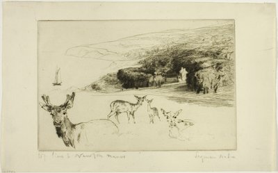 Newton Manor by Francis Seymour Haden