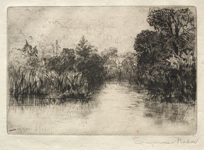 Shere Mill Pond: A Small Study by Francis Seymour Haden