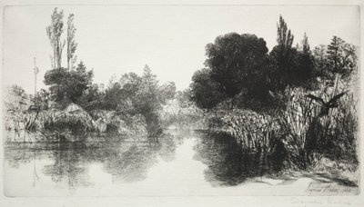 Shere Mill Pond, No. 11 (The Large Plate) by Francis Seymour Haden