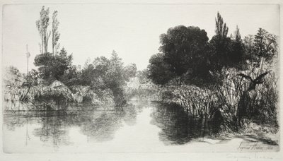 Shere Mill Pond, No. 11 The Large Plate by Francis Seymour Haden