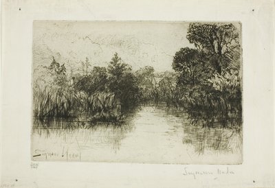 Shere Mill Pond, No. I by Francis Seymour Haden