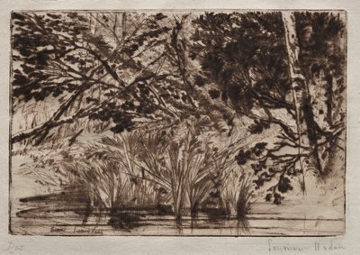 The Mouth of a Brook Second Plate by Francis Seymour Haden