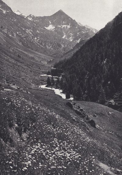 Eastern Alps: In the Windach Tal by Francis Sydney Smythe