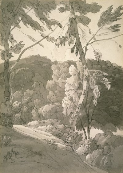 No.1091 A Wooded Landscape (A Scene at Indinowle) 1783 by Francis Towne