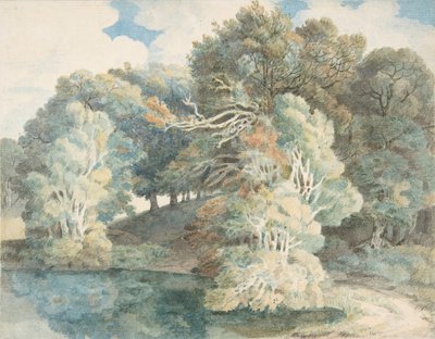 Trees by the Lake, Peamore Park, near Exeter, Devon by Francis Towne