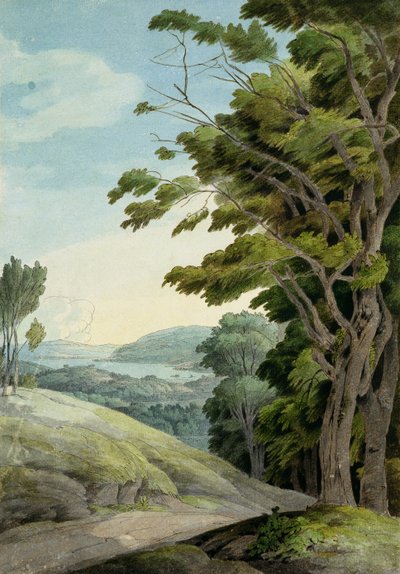 View from Rydal Park by Francis Towne