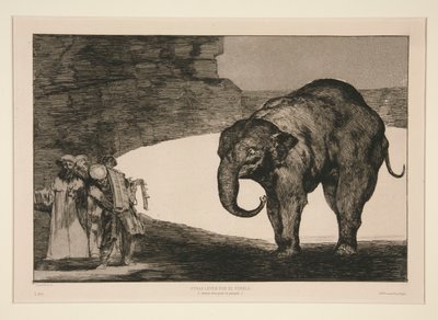 Animal Folly, unnumbered plate from the series Los proverbios by Francisco de Goya