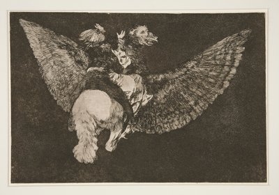Flying Folly, Plate 5 from the Series 