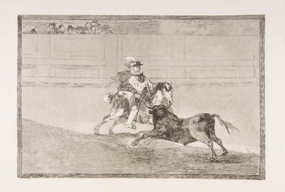 Plate 13 of the 