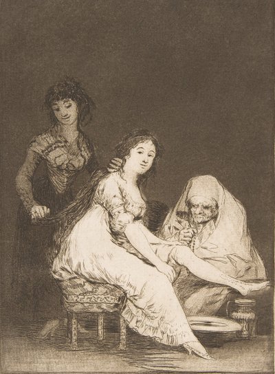 Plate 31 from 