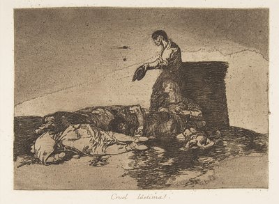 Plate 48 from 