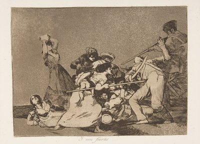 Plate 5 from 
