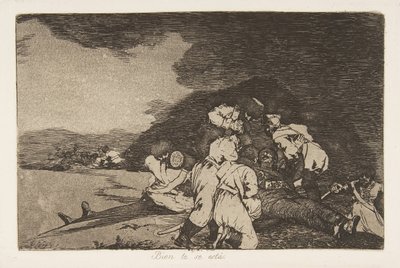 Plate 6 from 